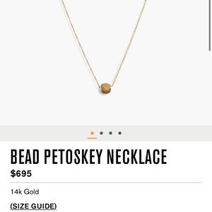 Shinola brand new in box bead Petoskey necklace